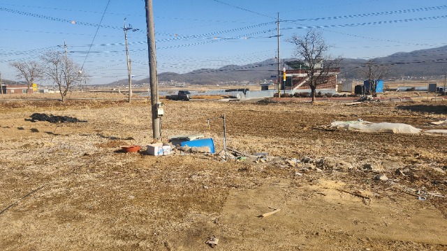 20250226_155317.jpg