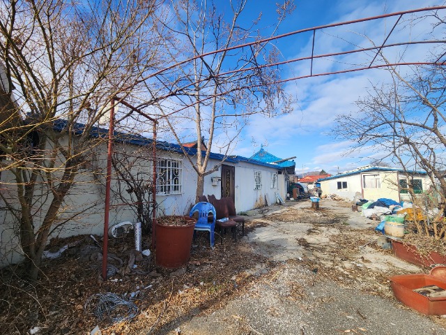 20250305_153927.jpg
