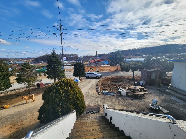20250305_154636.jpg