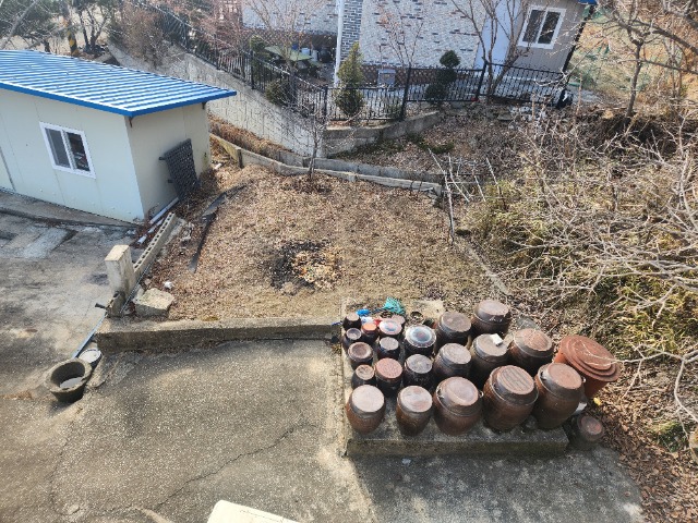 20250305_154838.jpg