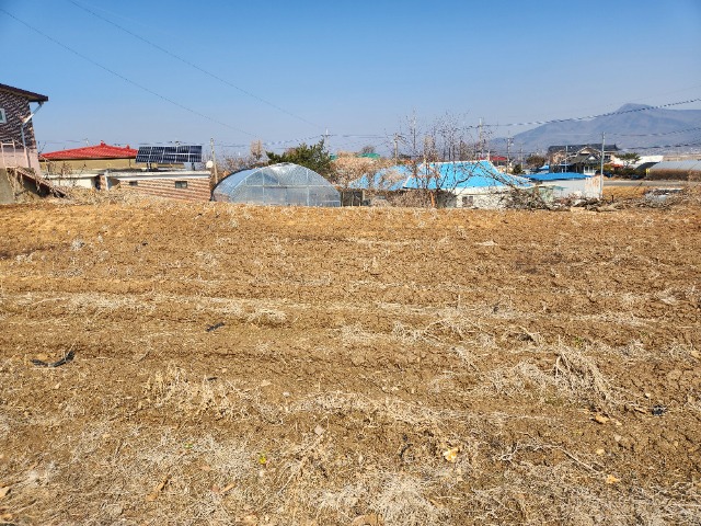 20250306_122506.jpg