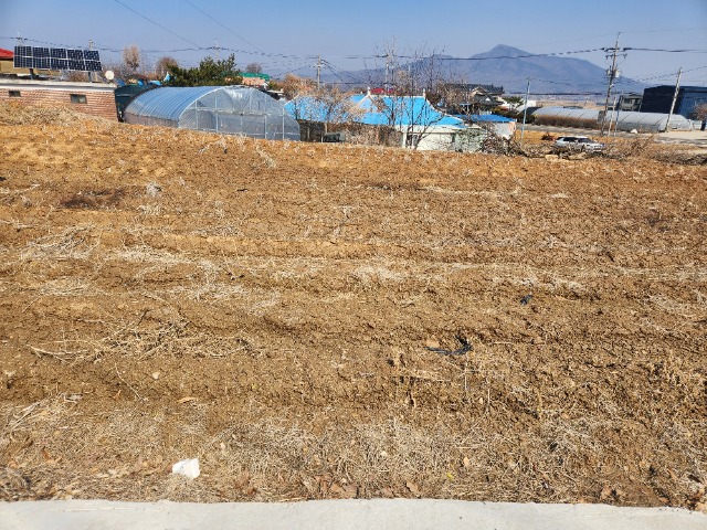 20250306_122516.jpg