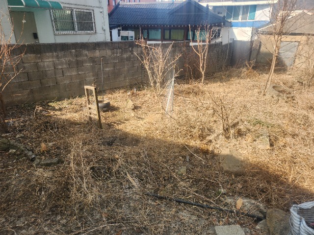 20250310_144837.jpg