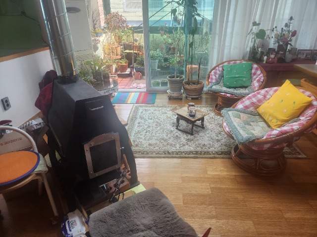 20250310_142908.jpg