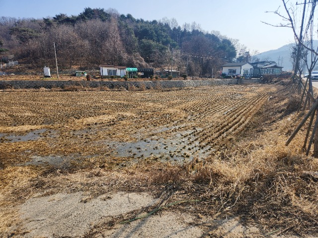 20250311_145328.jpg