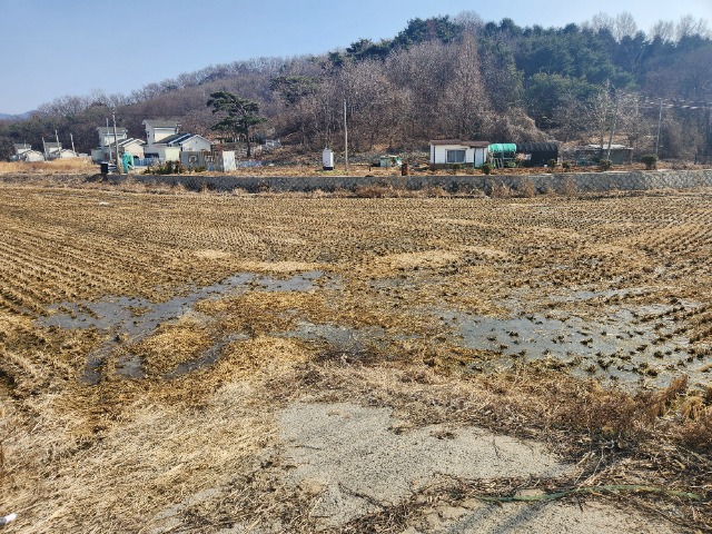 20250311_145330.jpg