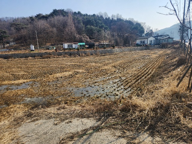 20250311_145322.jpg