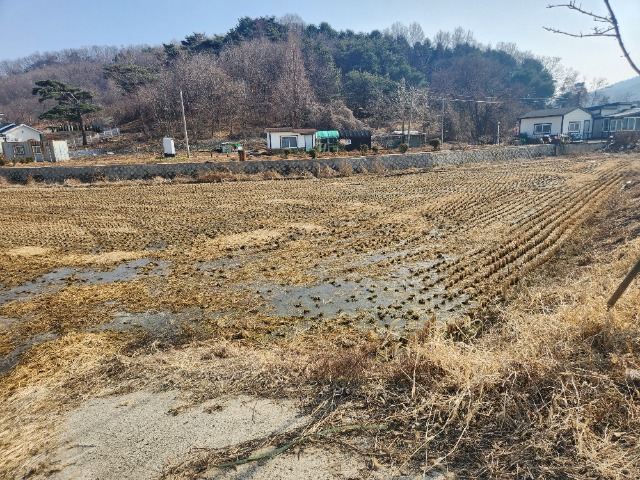 20250311_145427.jpg