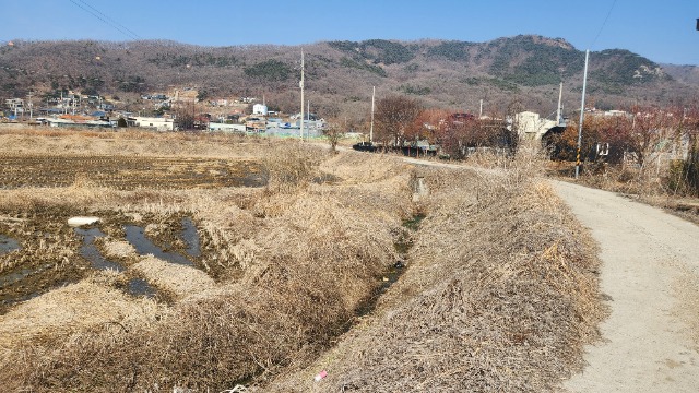 20250311_144458.jpg