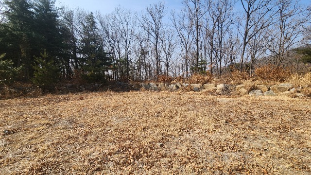 20250311_143015.jpg