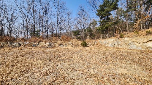 20250311_143013.jpg