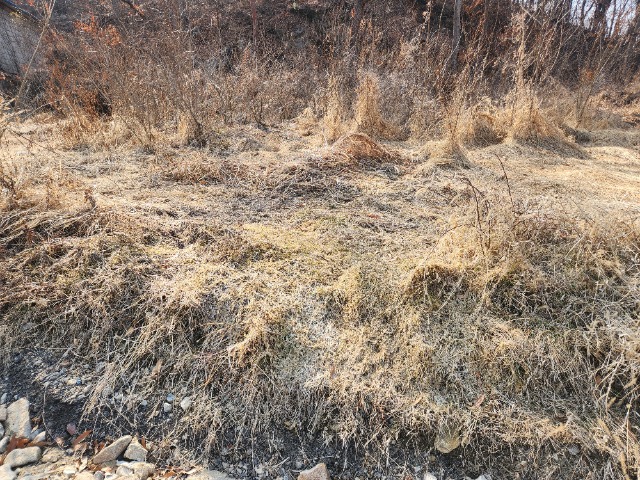 20250311_151717.jpg