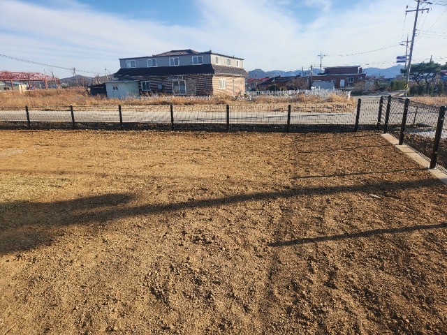 20250328_165909.jpg
