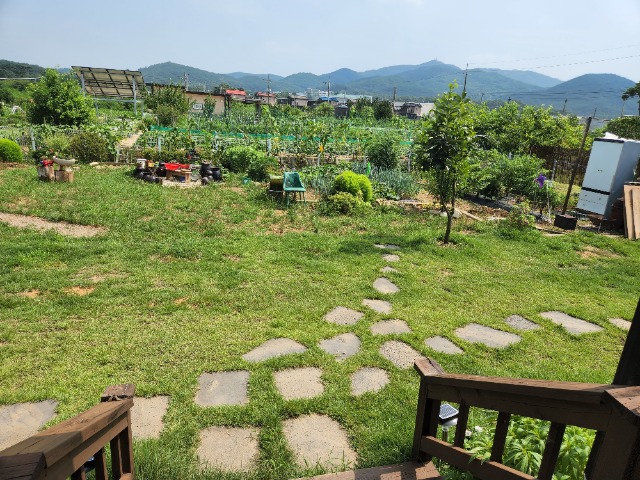 20220728_143100.jpg