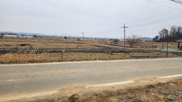 20250402_144212.jpg