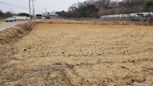 20250402_144206.jpg