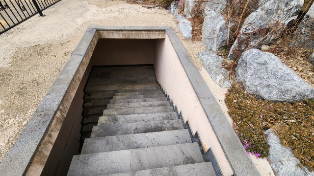20250402_151412.jpg