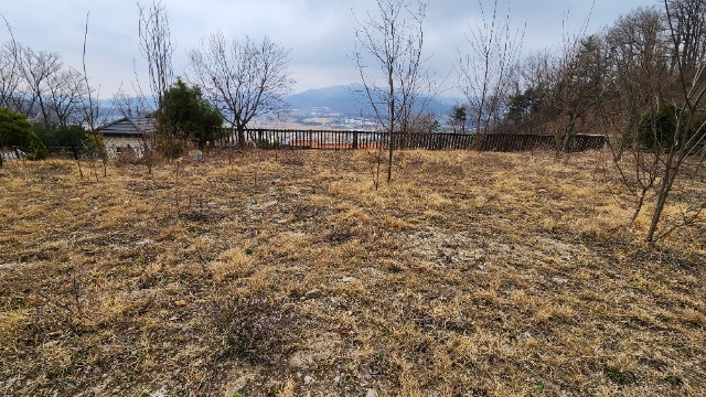 20250402_151339.jpg