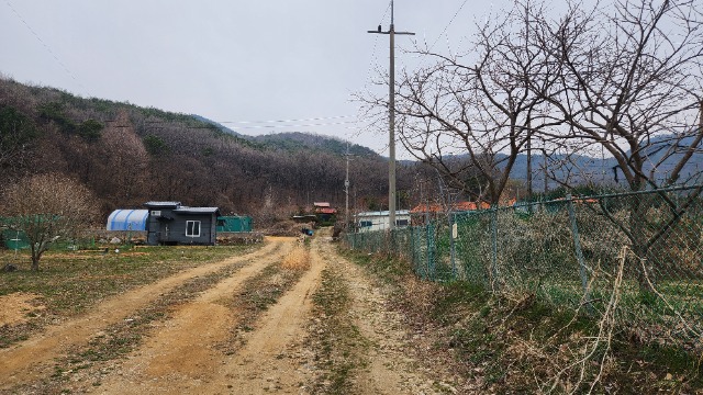 20250402_154129.jpg