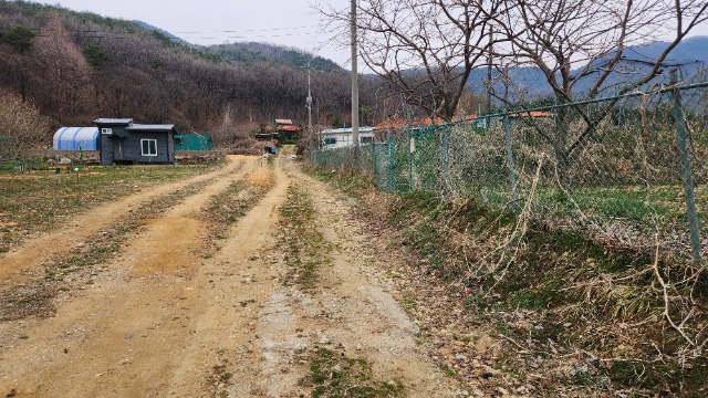 20250402_154124.jpg