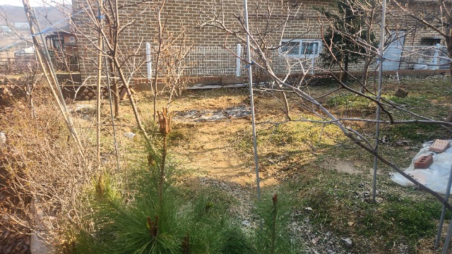 20250403_161710.jpg