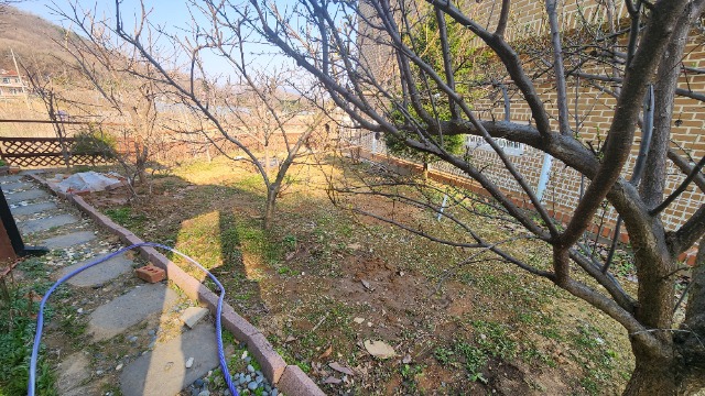 20250403_160940.jpg