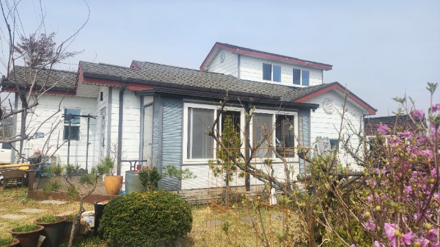20250416_142023.jpg