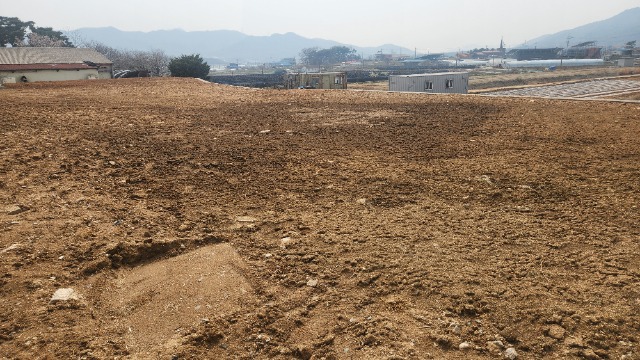 20250416_142913.jpg