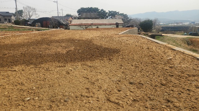 20250416_142955.jpg