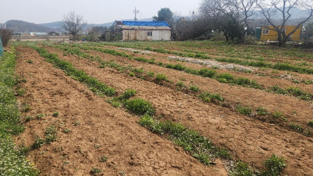 20250416_144209.jpg