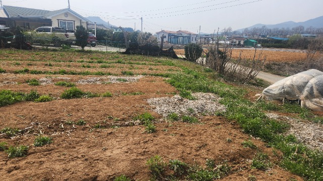 20250416_144214.jpg