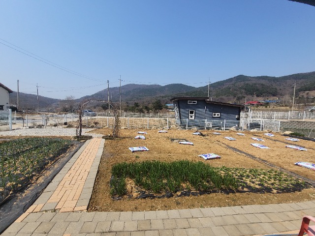 1744792505206-10.jpg