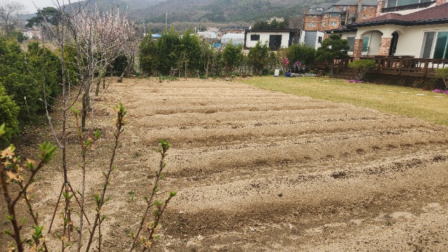 20250417_155940.jpg