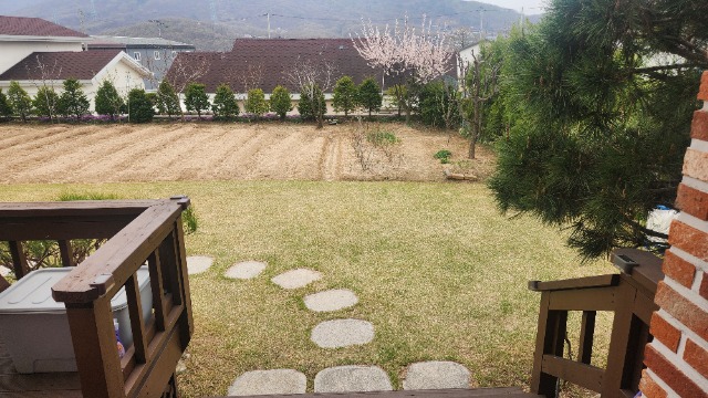20250417_155811.jpg