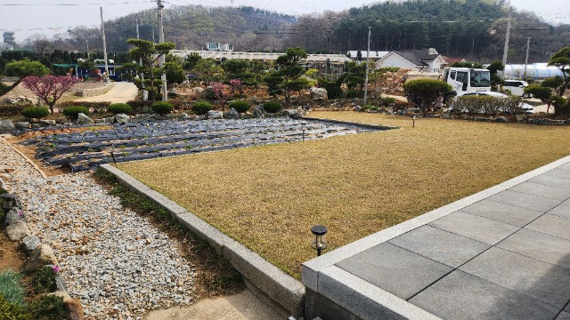 20250416_145956.jpg