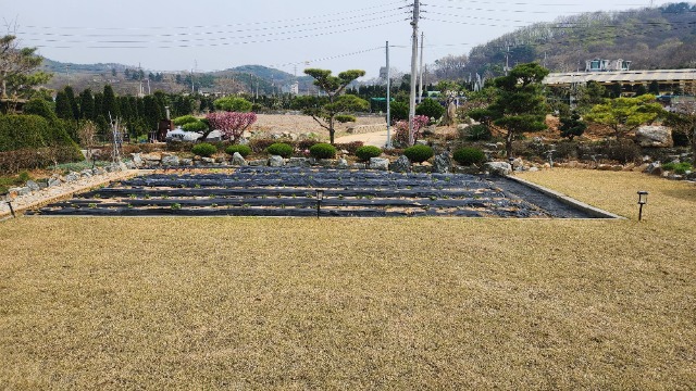 20250416_150009.jpg
