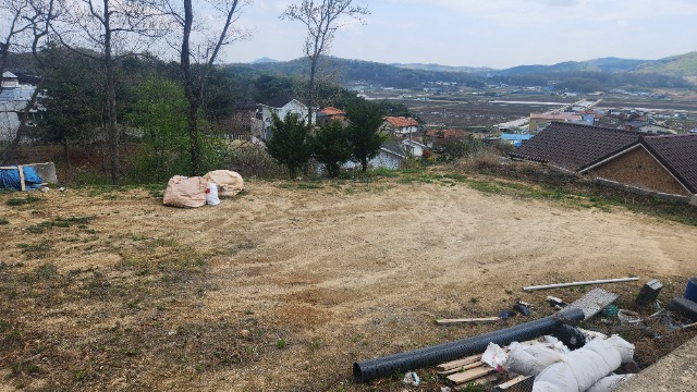 20250421_132010.jpg