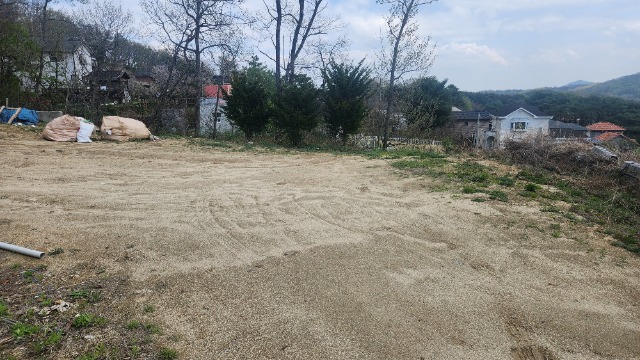 20250421_131909.jpg