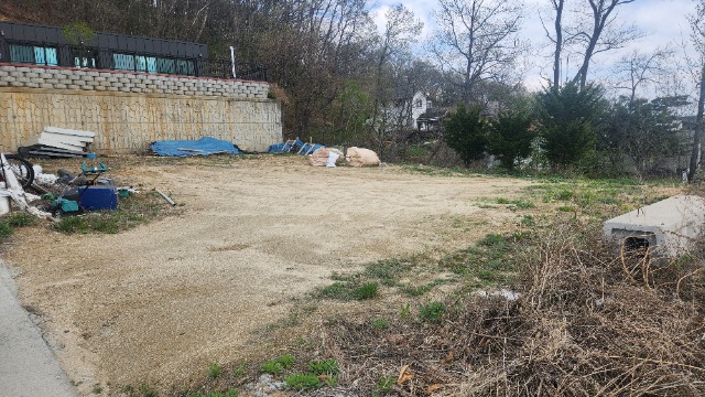 20250421_131853.jpg