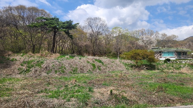 20250421_140959.jpg