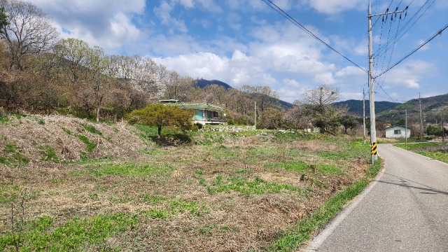 20250421_140807.jpg
