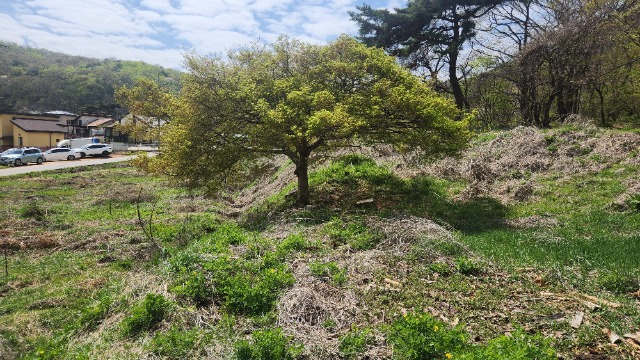 20250421_141648.jpg