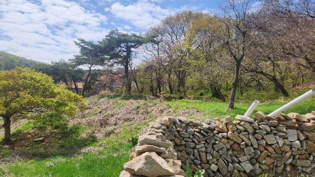 20250421_141622.jpg