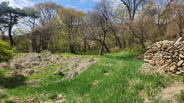 20250421_141638.jpg