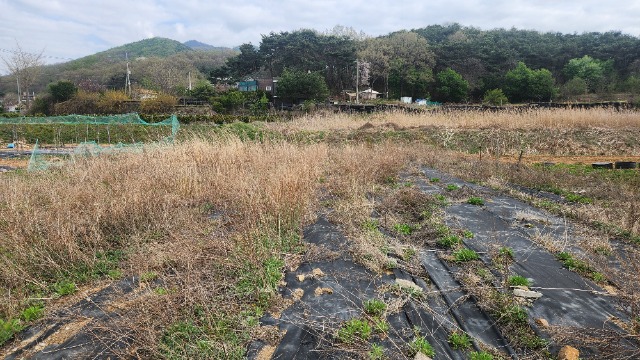 20250421_160918.jpg
