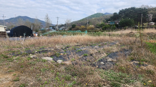 20250421_160929.jpg