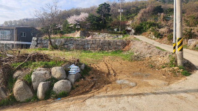 20250421_171418.jpg