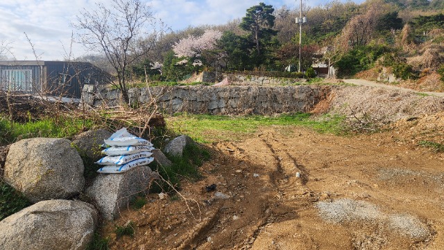 20250421_171359.jpg