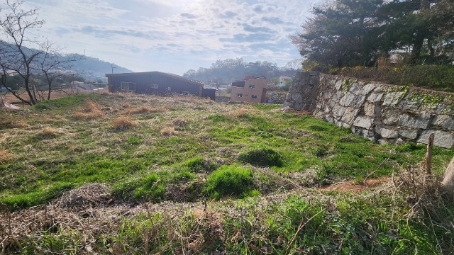 20250421_171243.jpg