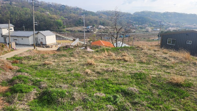 20250421_171208.jpg